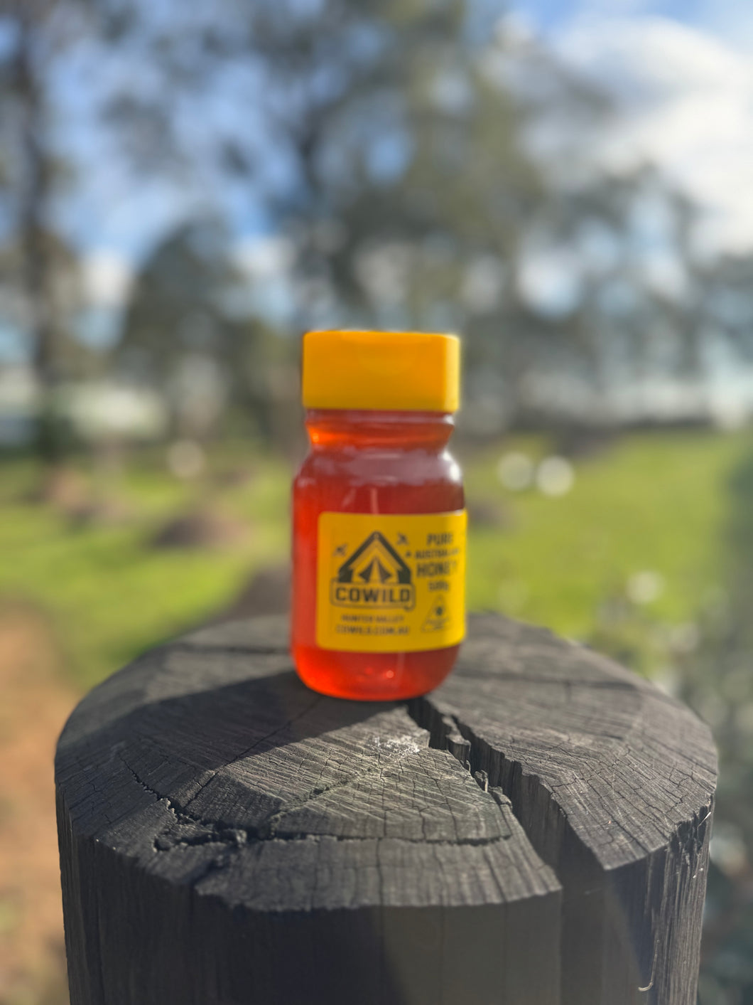CoWild (SQUEEZE BOTTLE) 500 g – Pure Australian Bush Honey (Premium, Raw)