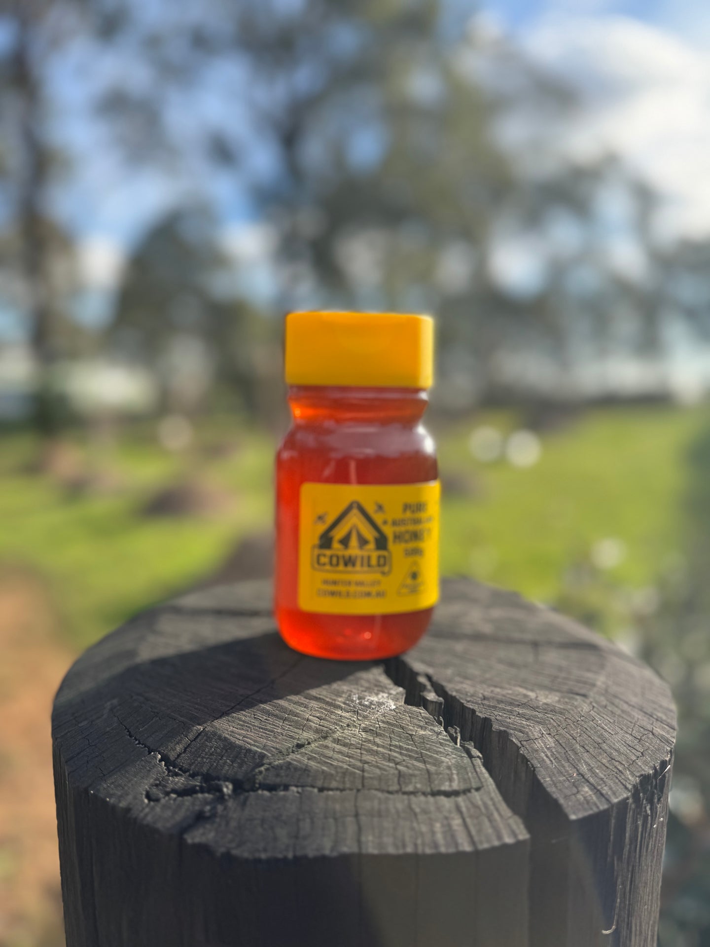 CoWild (SQUEEZE BOTTLE) 500 g – Pure Australian Bush Honey (Premium, Raw)