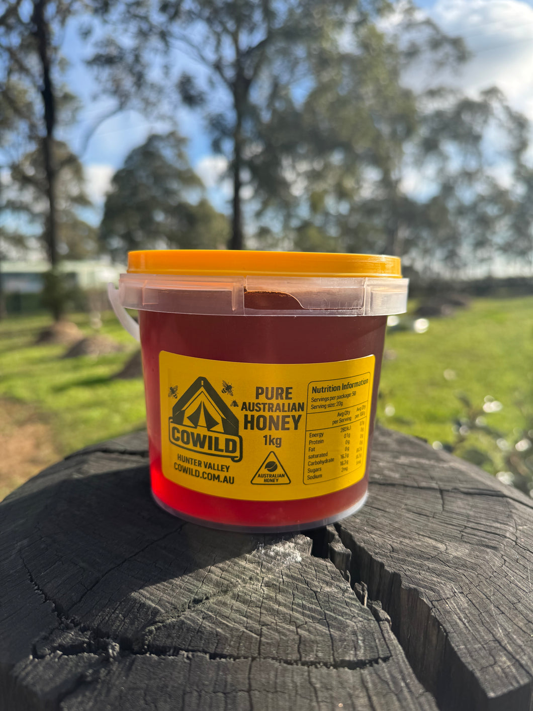 CoWild (BUCKET) 1kg – Pure Australian Bush Honey (Premium, Raw)