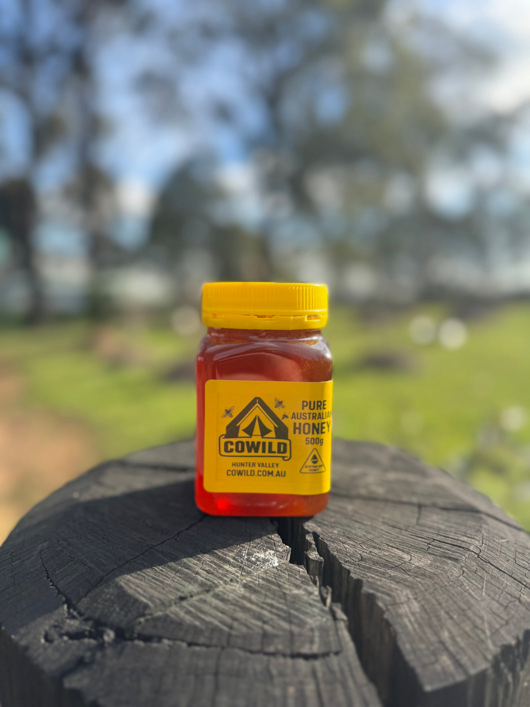CoWild (JAR) 500 g – Pure Australian Bush Honey (Premium, Raw)