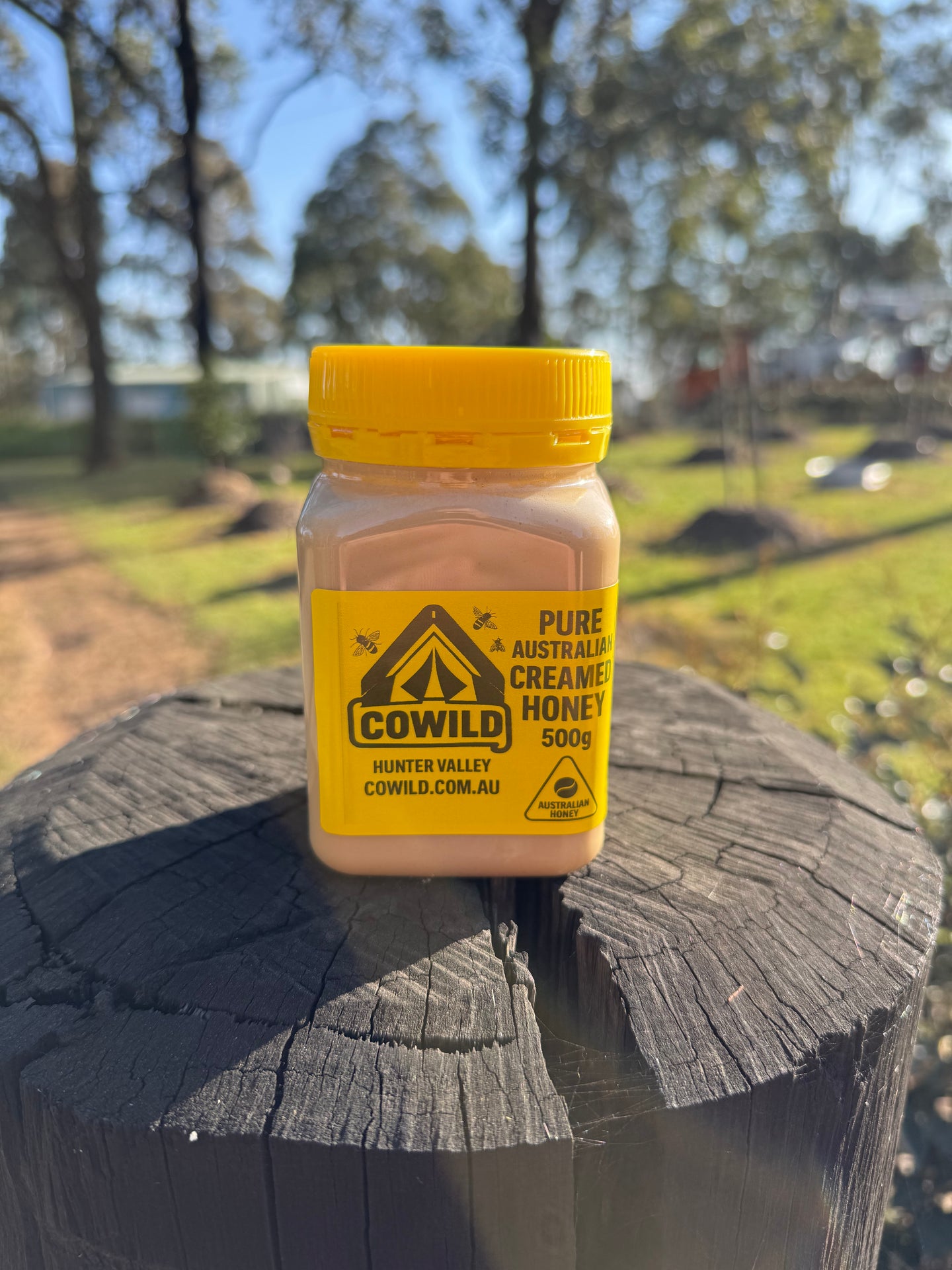 CoWild 500 g – Pure Australian Creamed Honey (Premium, Raw)