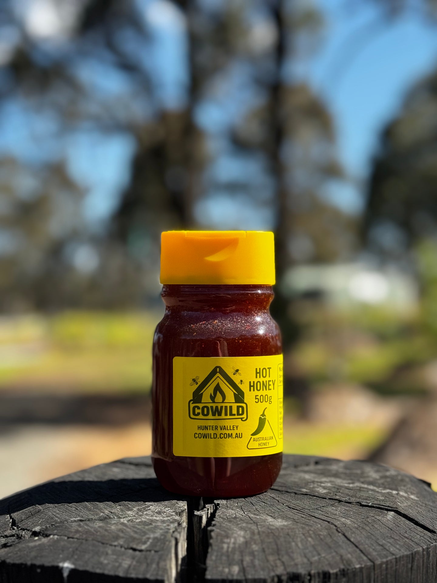 CoWild 500 g – Hot Honey