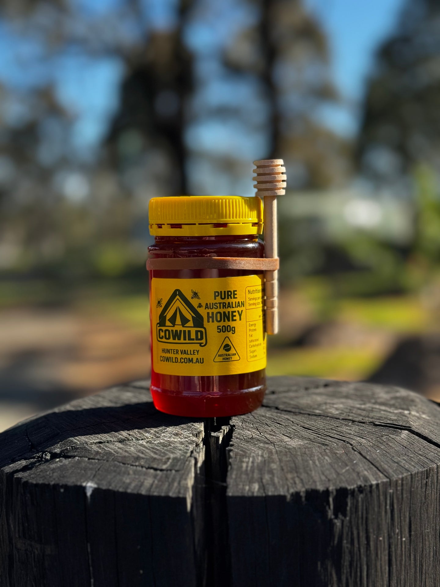 CoWild (JAR & DIPPER) 500 g – Pure Australian Bush Honey (Premium, Raw)